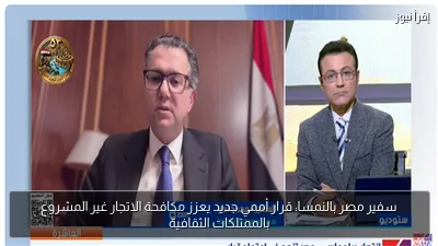 سفير مصر بالنمسا: قرار أممي جديد يعزز مكافحة الاتجار غير المشروع بالممتلكات الثقافية