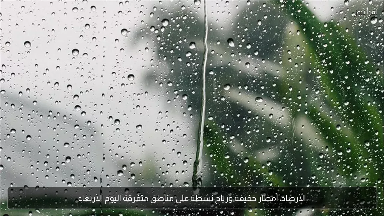 الأرصاد: أمطار خفيفة ورياح نشطة على مناطق متفرقة اليوم الأربعاء