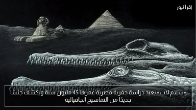 «سلام لاب» يعيد دراسة حفرية مصرية عمرها 45 مليون سنة ويكشف جنسًا جديدًا من التماسيح الجافيالية
