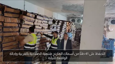 التحفظ على 41 طنًا من أسماك الهارنج منتهية الصلاحية بالغربية وإحالة الواقعة للنيابة
