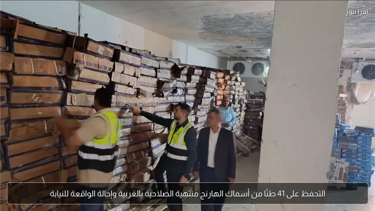 التحفظ على 41 طنًا من أسماك الهارنج منتهية الصلاحية بالغربية وإحالة الواقعة للنيابة