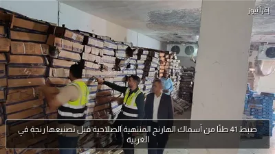 ضبط 41 طنًا من أسماك الهارنج المنتهية الصلاحية قبل تصنيعها رنجة في الغربية