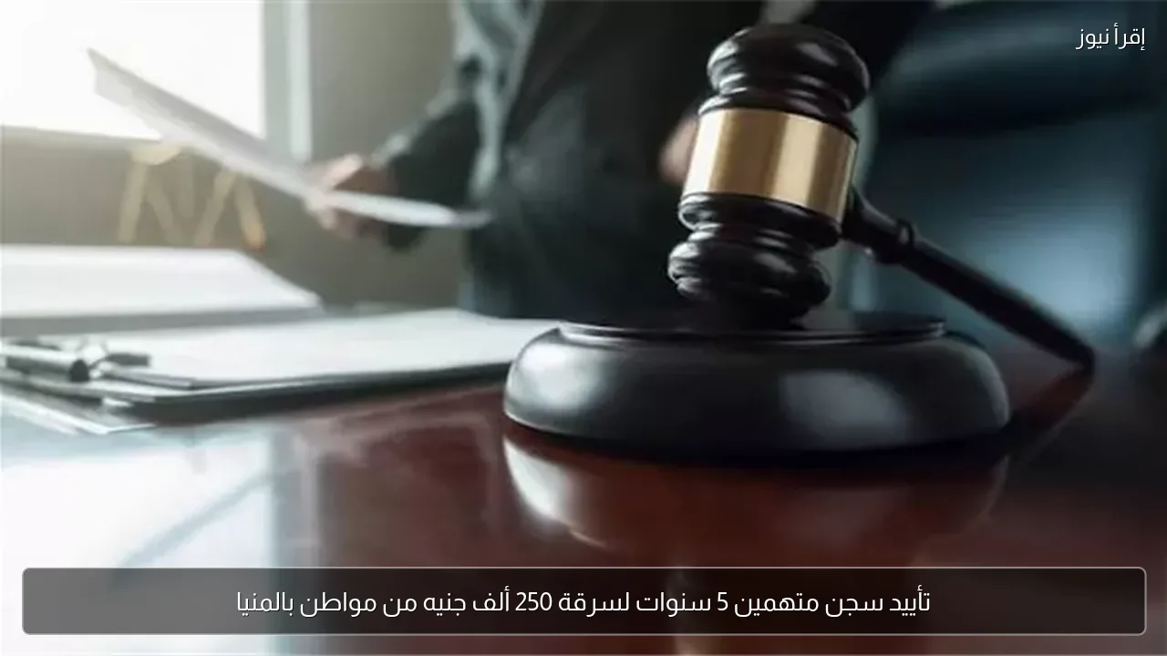 تأييد سجن متهمين 5 سنوات لسرقة 250 ألف جنيه من مواطن بالمنيا