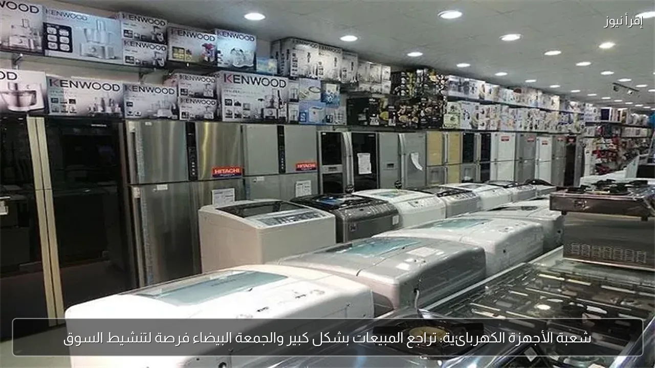 شعبة الأجهزة الكهربائية: تراجع المبيعات بشكل كبير والجمعة البيضاء فرصة لتنشيط السوق