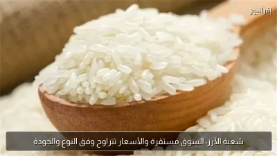 شعبة الأرز: السوق مستقرة والأسعار تتراوح وفق النوع والجودة