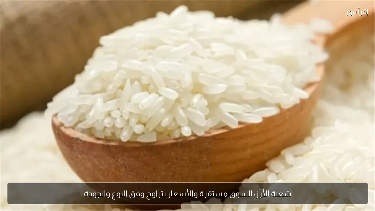 شعبة الأرز: السوق مستقرة والأسعار تتراوح وفق النوع والجودة