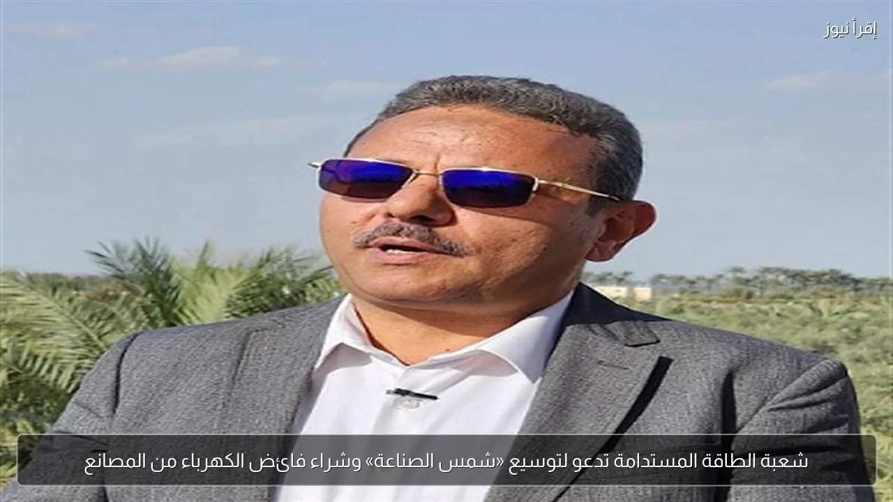 شعبة الطاقة المستدامة تدعو لتوسيع «شمس الصناعة» وشراء فائض الكهرباء من المصانع