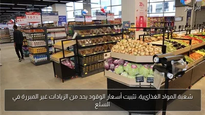 شعبة المواد الغذائية: تثبيت أسعار الوقود يحد من الزيادات غير المبررة في السلع