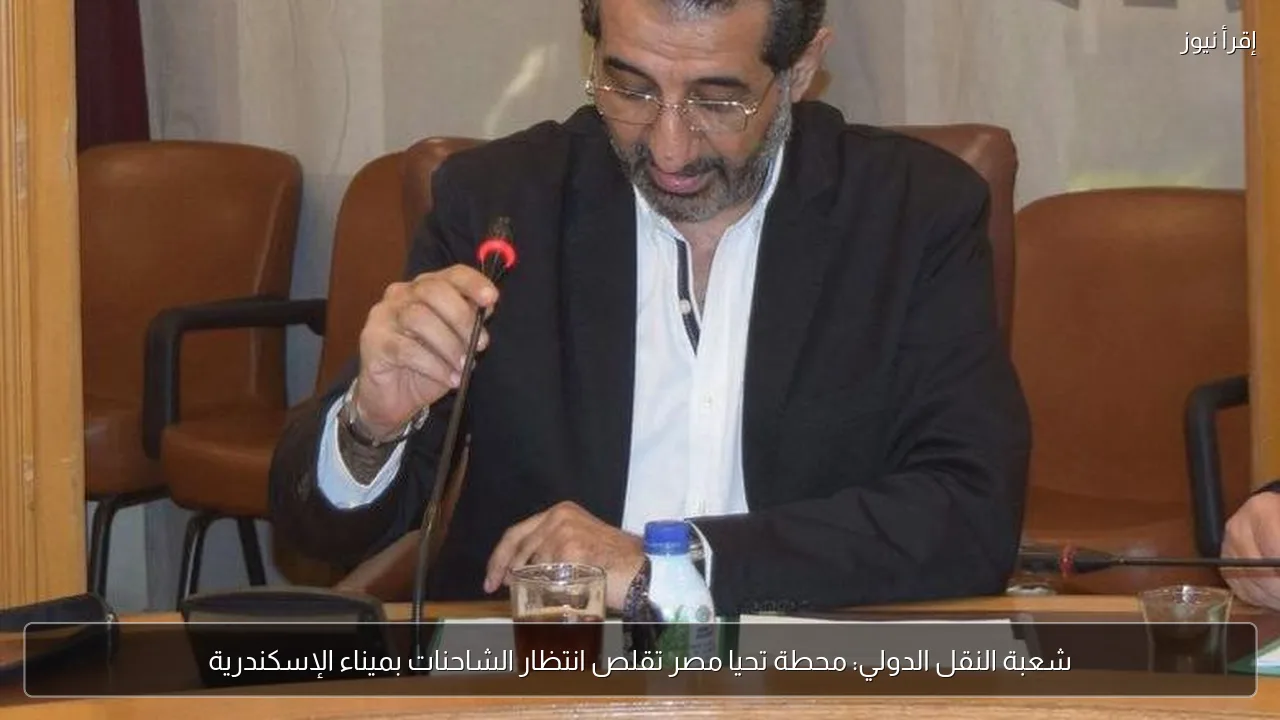 شعبة النقل الدولي: محطة تحيا مصر تقلص انتظار الشاحنات بميناء الإسكندرية