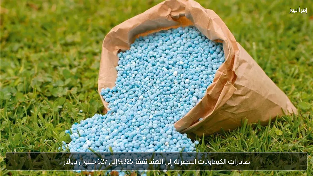 صادرات الكيماويات المصرية إلى الهند تقفز 325% إلى 627 مليون دولار