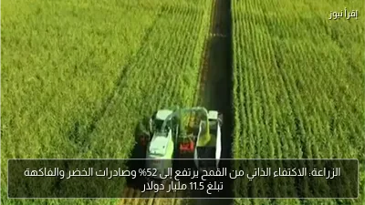 الزراعة: الاكتفاء الذاتي من القمح يرتفع إلى 52% وصادرات الخضر والفاكهة تبلغ 11.5 مليار دولار