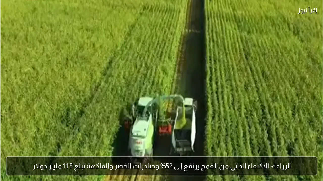 الزراعة: الاكتفاء الذاتي من القمح يرتفع إلى 52% وصادرات الخضر والفاكهة تبلغ 11.5 مليار دولار