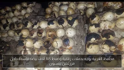 محافظ الغربية يوجه بحملات رقابية وضبط 105 آلاف بيضة فاسدة داخل مزرعتين ببسيون