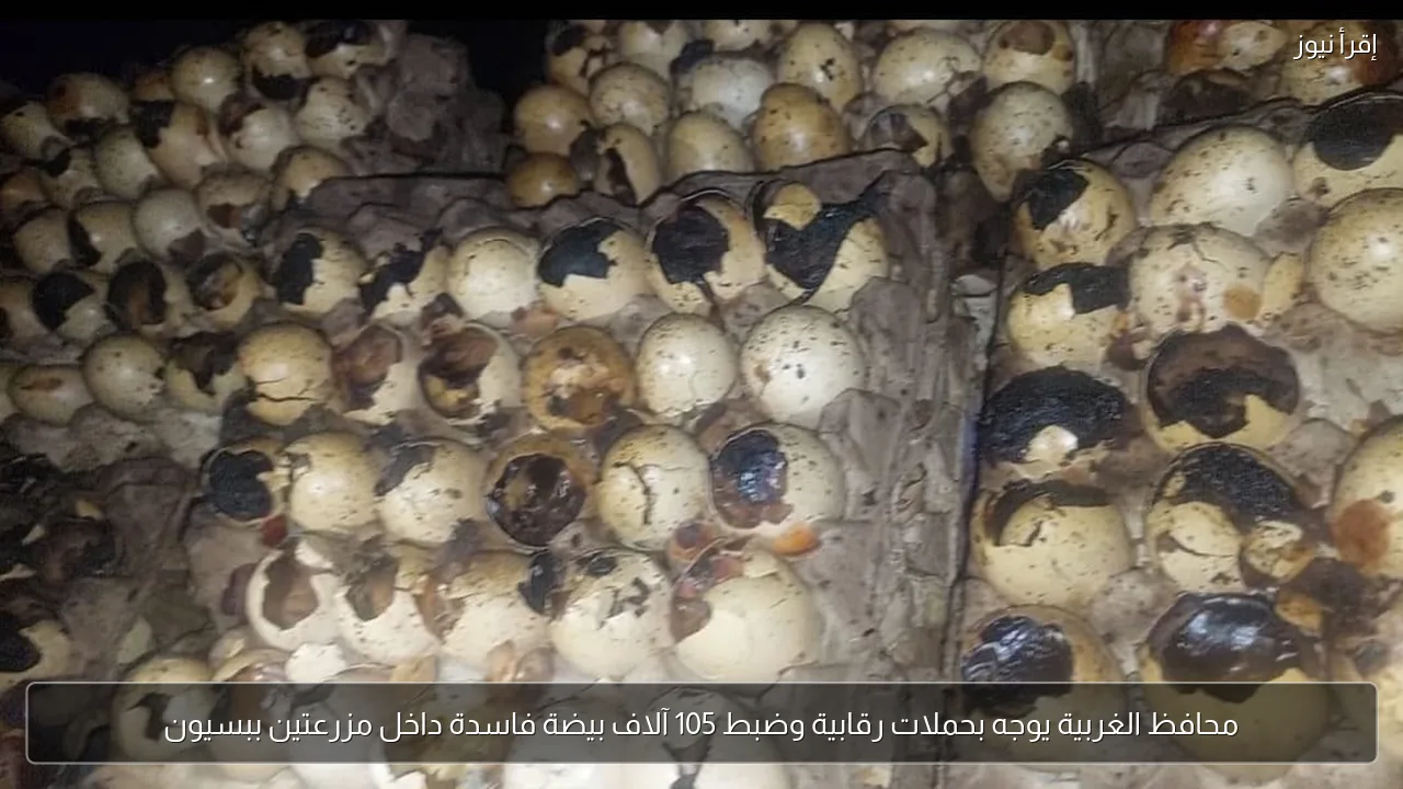 محافظ الغربية يوجه بحملات رقابية وضبط 105 آلاف بيضة فاسدة داخل مزرعتين ببسيون