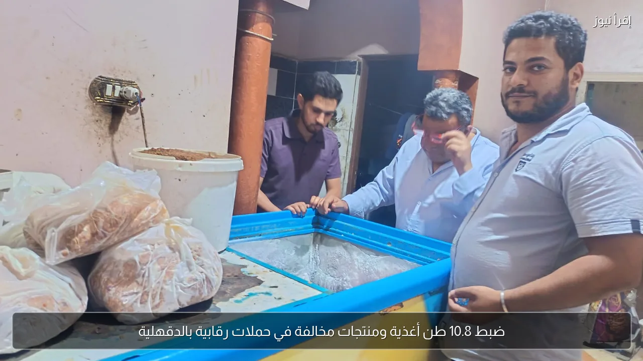 ضبط 10.8 طن أغذية ومنتجات مخالفة في حملات رقابية بالدقهلية