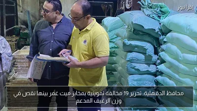 محافظ الدقهلية: تحرير 19 مخالفة تموينية بمخابز ميت غمر بينها نقص في وزن الرغيف المدعم