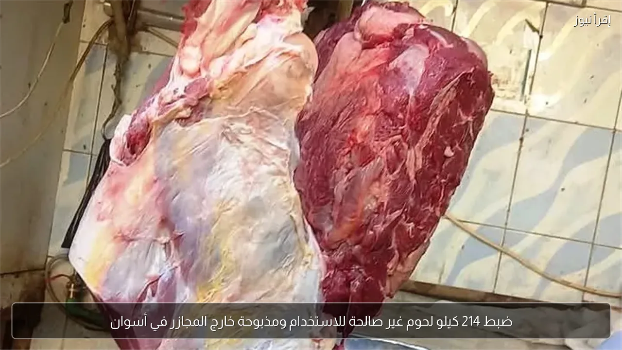 ضبط 214 كيلو لحوم غير صالحة للاستخدام ومذبوحة خارج المجازر في أسوان