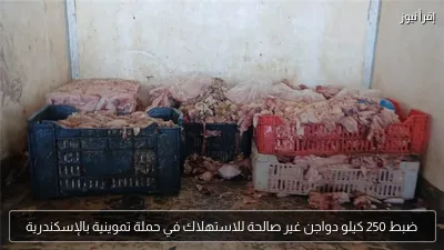 ضبط 250 كيلو دواجن غير صالحة للاستهلاك في حملة تموينية بالإسكندرية