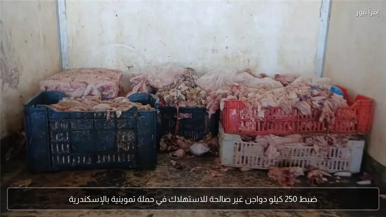 ضبط 250 كيلو دواجن غير صالحة للاستهلاك في حملة تموينية بالإسكندرية