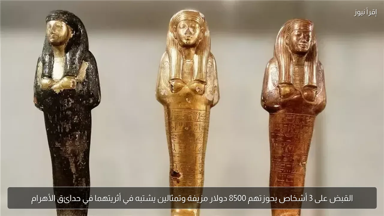 القبض على 3 أشخاص بحوزتهم 8500 دولار مزيفة وتمثالين يشتبه في أثريتهما في حدائق الأهرام