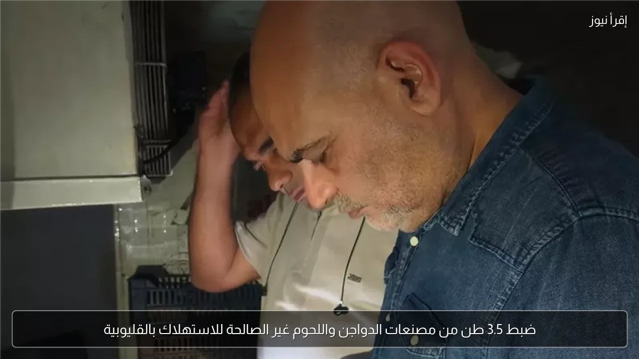 ضبط 3.5 طن من مصنعات الدواجن واللحوم غير الصالحة للاستهلاك بالقليوبية