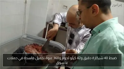 ضبط 40 شيكارة دقيق و42 كيلو لحوم و368 عبوة تجميل فاسدة في حملات بدسوق