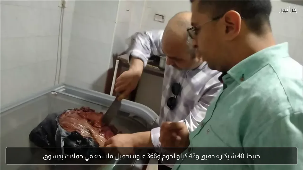 ضبط 40 شيكارة دقيق و42 كيلو لحوم و368 عبوة تجميل فاسدة في حملات بدسوق