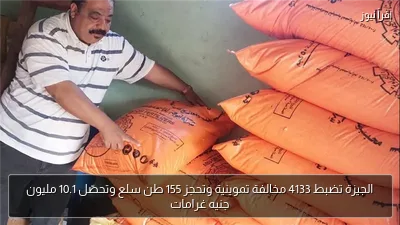 الجيزة تضبط 4133 مخالفة تموينية وتحجز 155 طن سلع وتحصّل 10.1 مليون جنيه غرامات
