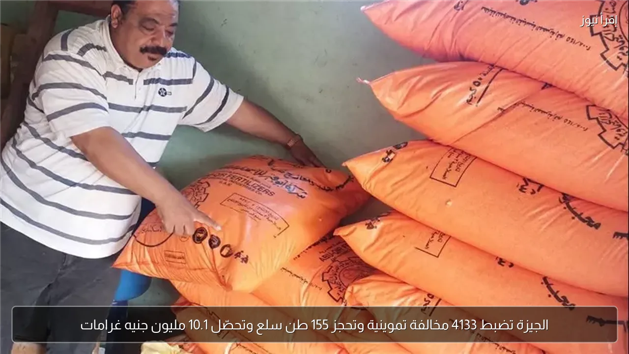 الجيزة تضبط 4133 مخالفة تموينية وتحجز 155 طن سلع وتحصّل 10.1 مليون جنيه غرامات