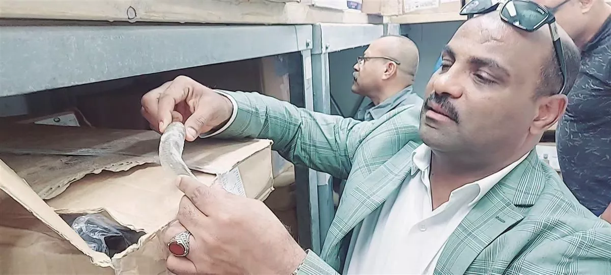 حملة مكبرة لتموين بورسعيد
