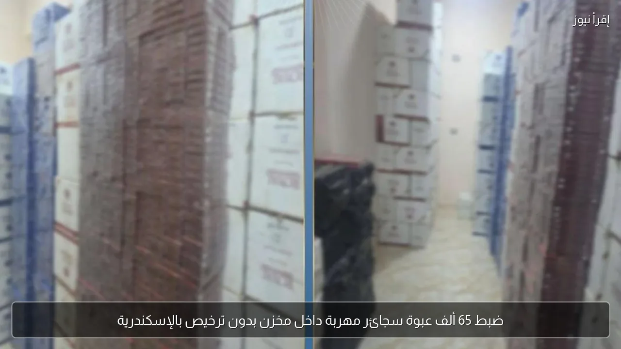 ضبط 65 ألف عبوة سجائر مهربة داخل مخزن بدون ترخيص بالإسكندرية