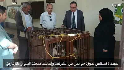 ضبط 8 نسناس بحوزة مواطن في الشرقية وإيداعها حديقة الحيوان بالزقازيق