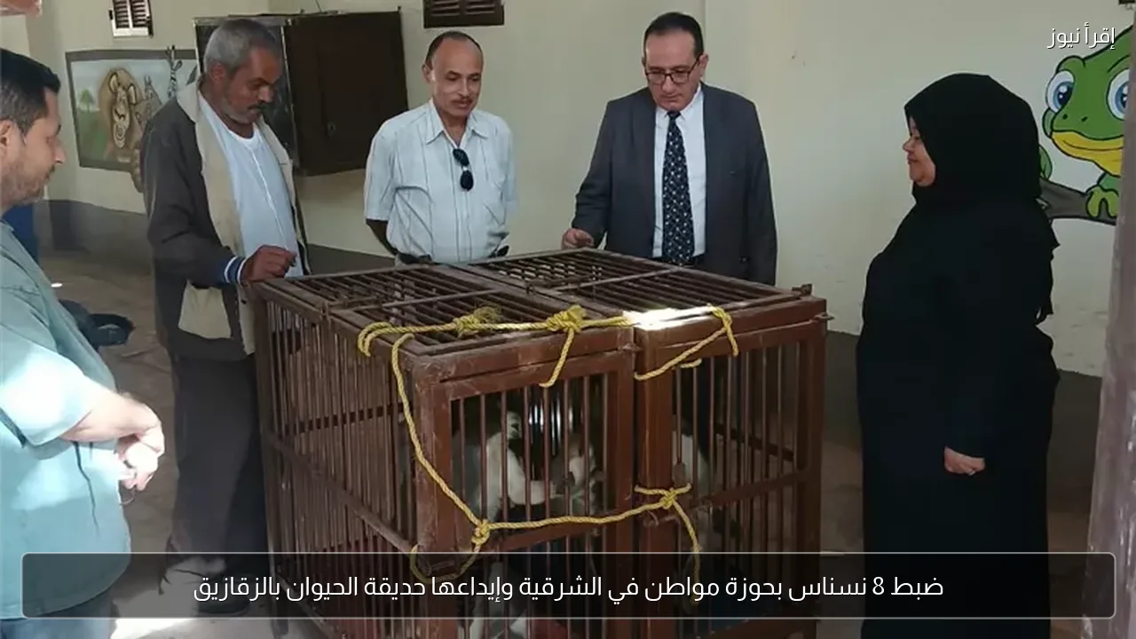 ضبط 8 نسناس بحوزة مواطن في الشرقية وإيداعها حديقة الحيوان بالزقازيق