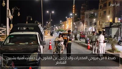 ضبط 8 من مروجي المخدرات والخارجين عن القانون في حملات أمنية بشبين القناطر