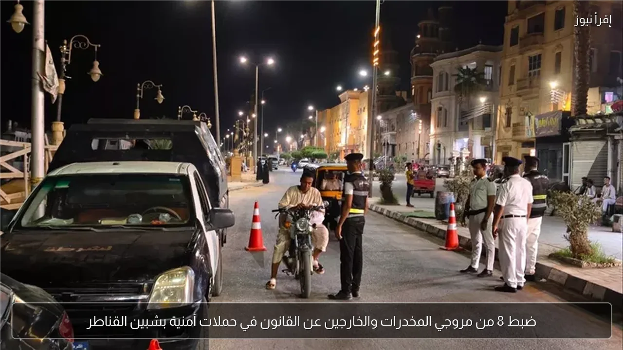 ضبط 8 من مروجي المخدرات والخارجين عن القانون في حملات أمنية بشبين القناطر