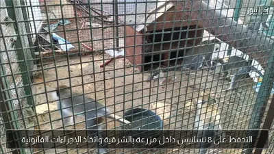 التحفظ على 8 نسانيس داخل مزرعة بالشرقية واتخاذ الإجراءات القانونية