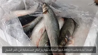 ضبط أغذية فاسدة و200 كيلو أسماك بتواريخ إنتاج مستقبلية في كفر الشيخ