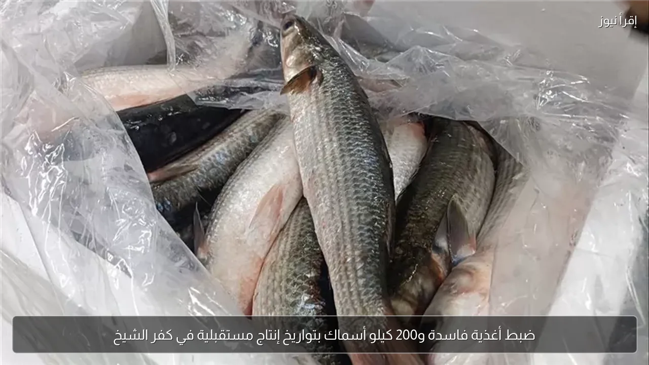 ضبط أغذية فاسدة و200 كيلو أسماك بتواريخ إنتاج مستقبلية في كفر الشيخ
