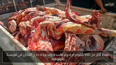 ضبط أكثر من 500 كيلوجرام لحوم فاسدة ومذبوحة خارج المجازر في قويسنا بالمنوفية