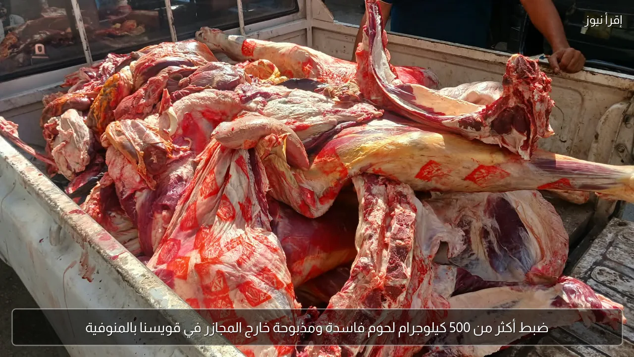 ضبط أكثر من 500 كيلوجرام لحوم فاسدة ومذبوحة خارج المجازر في قويسنا بالمنوفية