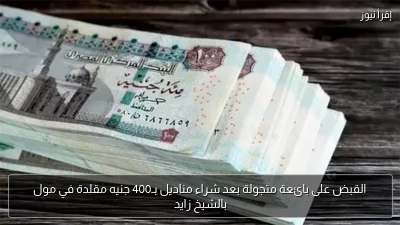 القبض على بائعة متجولة بعد شراء مناديل بـ400 جنيه مقلدة في مول بالشيخ زايد