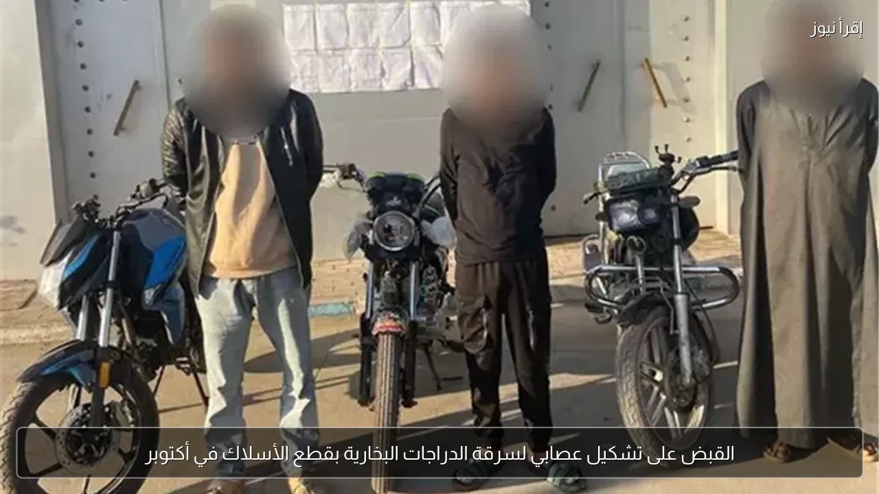 القبض على تشكيل عصابي لسرقة الدراجات البخارية بقطع الأسلاك في أكتوبر