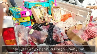 ضبط رنجة وفسيخ ومصنعات لحوم ودواجن فاسدة في الفيوم