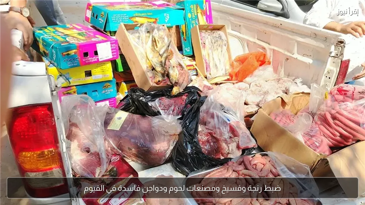 ضبط رنجة وفسيخ ومصنعات لحوم ودواجن فاسدة في الفيوم