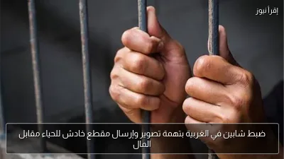 ضبط شابين في الغربية بتهمة تصوير وإرسال مقطع خادش للحياء مقابل المال