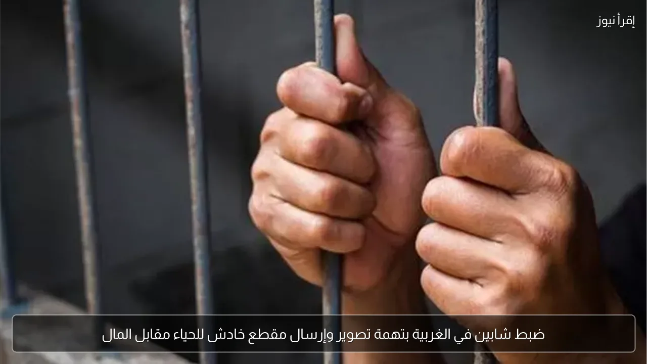 ضبط شابين في الغربية بتهمة تصوير وإرسال مقطع خادش للحياء مقابل المال
