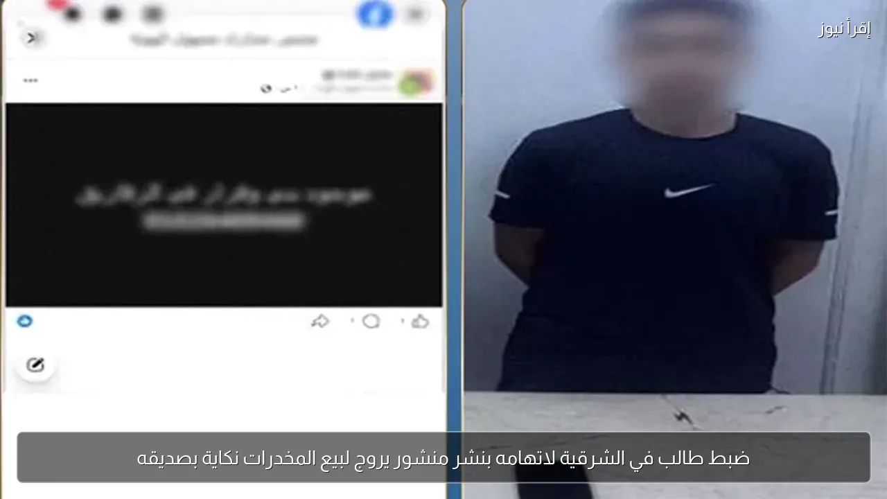 ضبط طالب في الشرقية لاتهامه بنشر منشور يروج لبيع المخدرات نكاية بصديقه