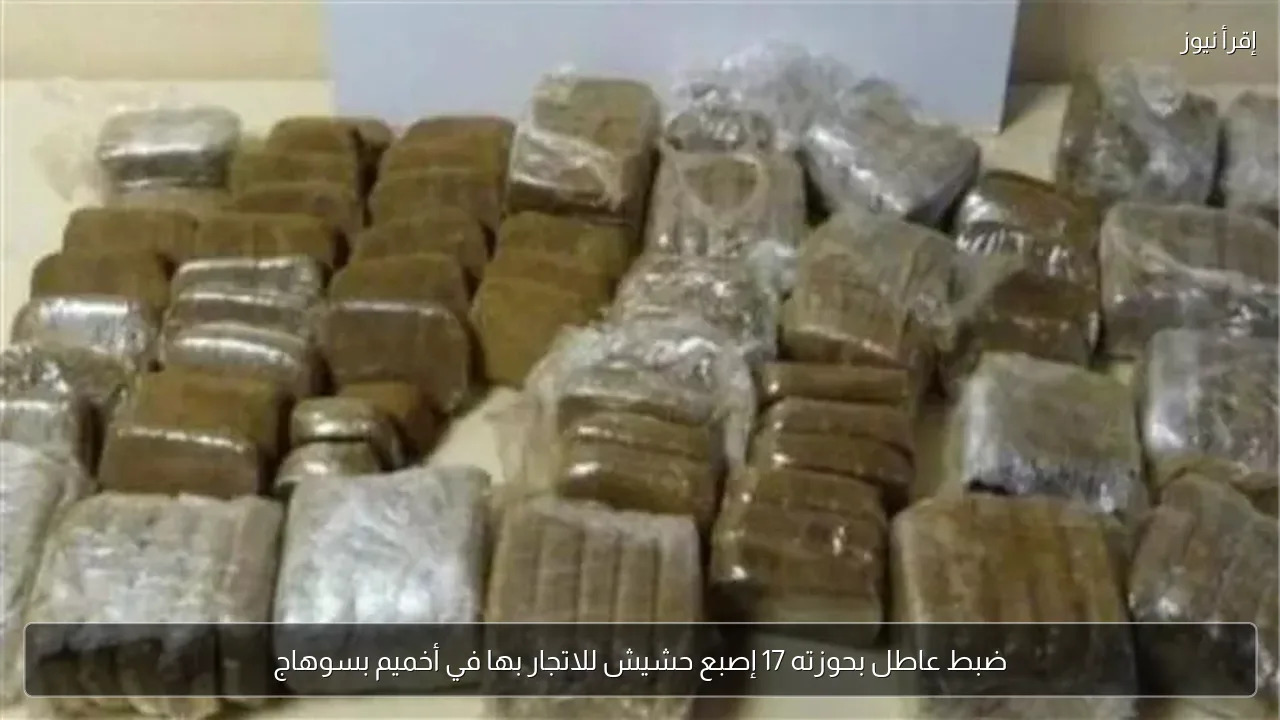 ضبط عاطل بحوزته 17 إصبع حشيش للاتجار بها في أخميم بسوهاج