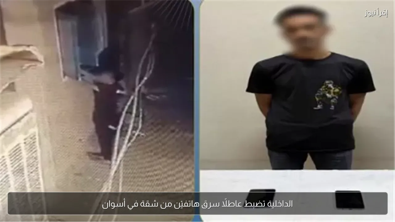 الداخلية تضبط عاطلًا سرق هاتفيْن من شقة في أسوان