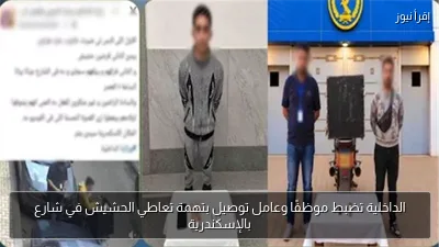 الداخلية تضبط موظفًا وعامل توصيل بتهمة تعاطي الحشيش في شارع بالإسكندرية